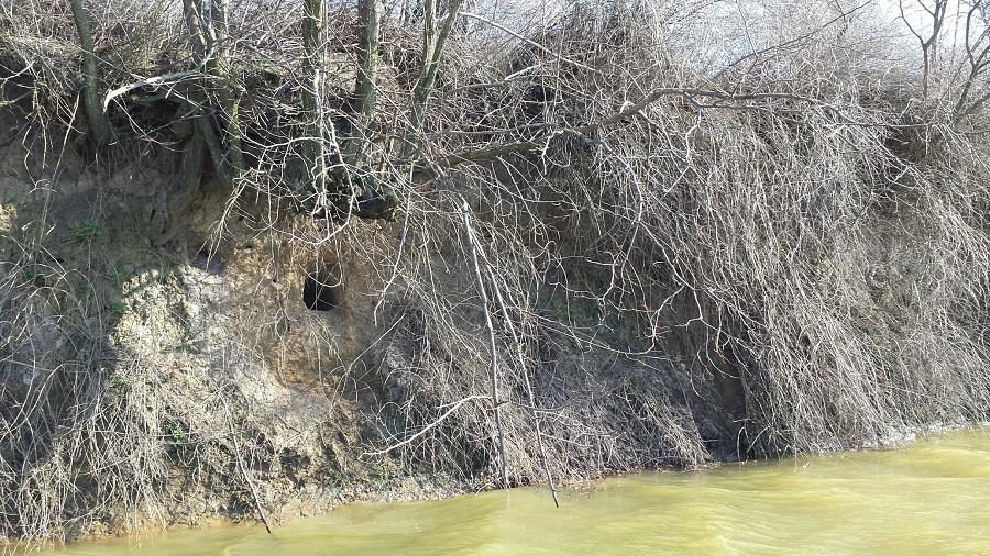 BALTA SULIMANU - MARTIE 2014 - sulimanu-loc-pescuit-agatatura.jpg